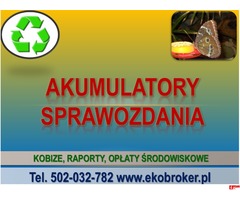 Raport do Kobize, Raportowanie, sprawozdanie, cena Warszawa, tel 502-032-782